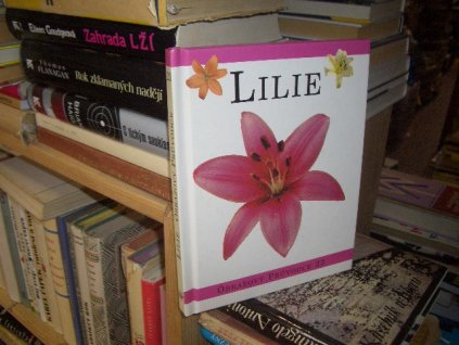 Lilie - Obrazový průvodce