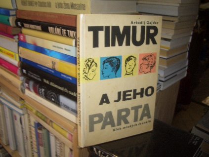 Timur a jeho parta