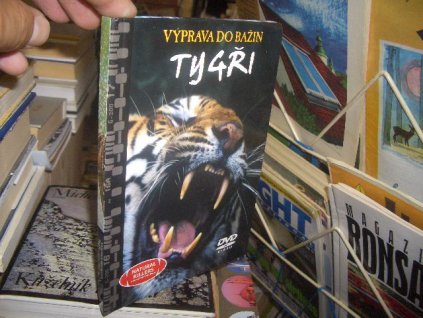 DVD Tygři