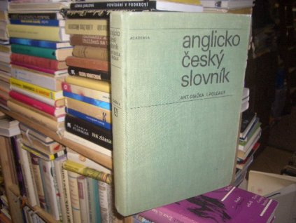 Anglicko-český slovník