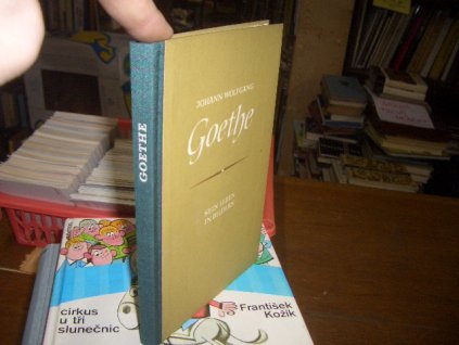 J. W. Goethe - Sein Leben in Bildern
