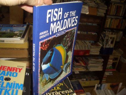 Fish of the Maledives