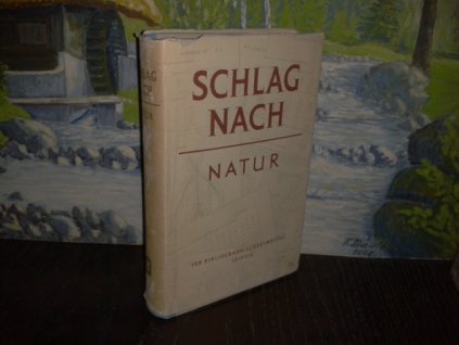 Schlagnach - Natur