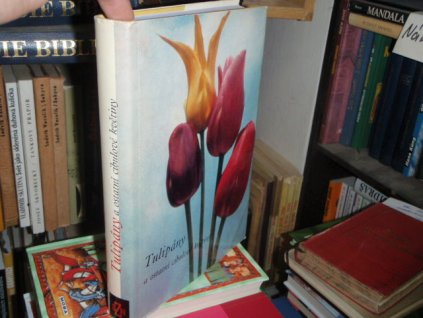 Tulipány a ostatní cibulové květiny