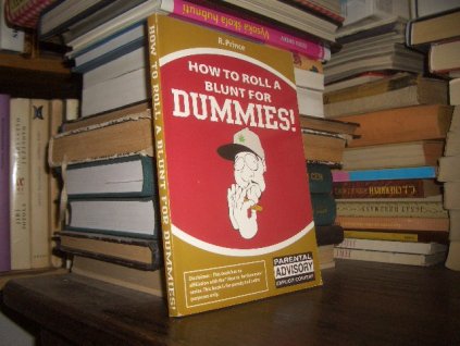 How to Roll a Blunt for Dummies