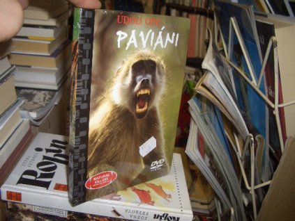 DVD Predátoři zblízka - Paviáni