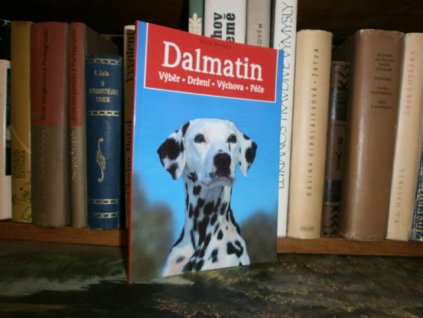 Dalmatin - výběr, držení, výchova, péče