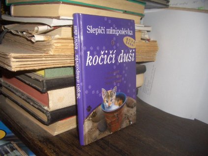 Slepičí minipolévka o kočičí duši