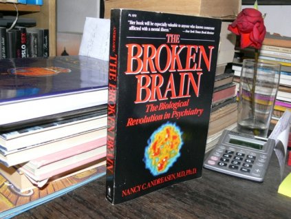 The Broken Brain (anglicky)