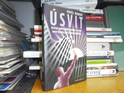 Úsvit - Kritika politického systému a návrh ...