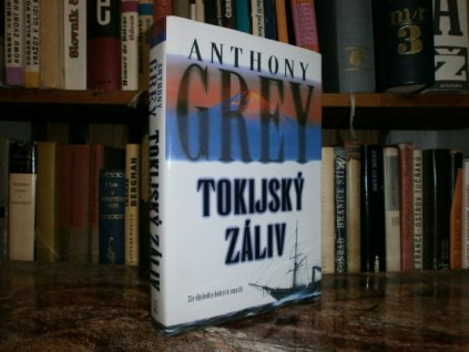 Tokijský záliv