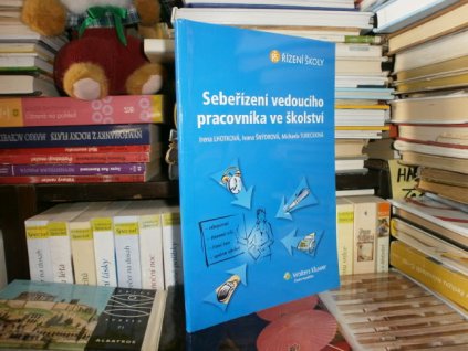 Sebeřízení vedoucího pracovníka ve školství