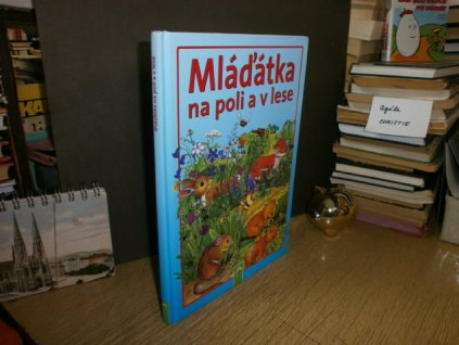 Mláďátka na poli a v lese