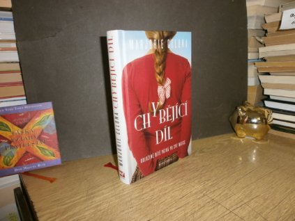 Chybějící díl - odložené dítě pátrá po své matce