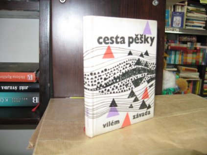 Cesta pěšky