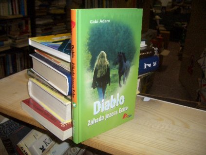 Diablo - Záhada jezera Echo