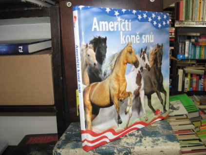 Američtí koně snů