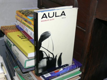 Aula