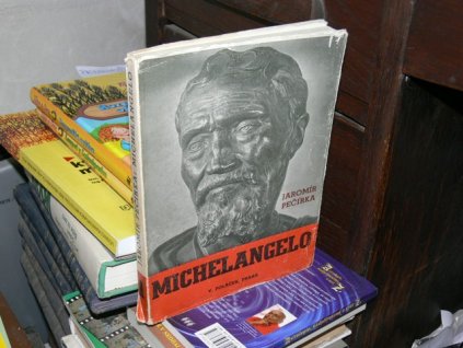 Michelangelo Buonarroti - Život a dílo