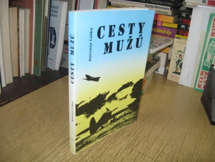 Cesty mužů