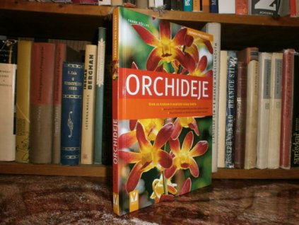 Orchideje