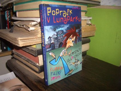 Poprask v Lunaparku - Flippin tajný deník