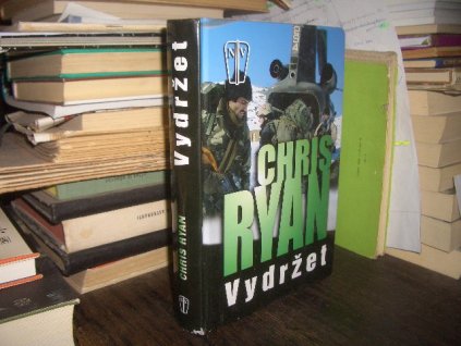 Vydržet