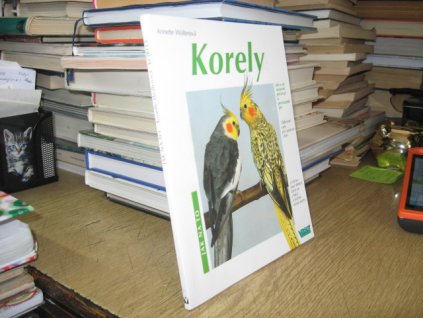 Korely