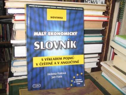 Malý ekonomický slovník s výkladem pojmů v češtině a v angličtině