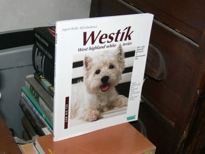 Westík - West highland white teriér