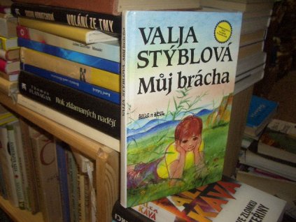 Můj brácha