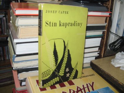 Stín kapradiny