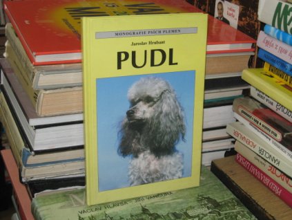 Pudl