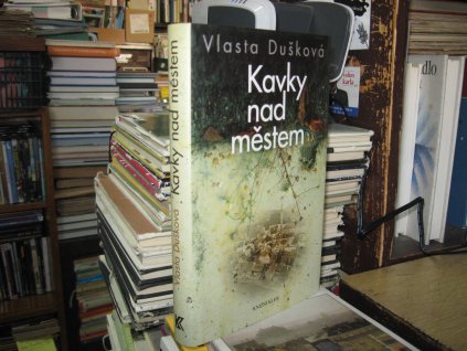 Kavky nad městem