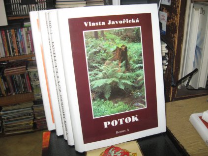 Potok