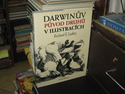 Darwinův původ druhů v ilustracích