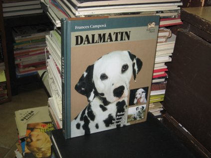 Dalmatin