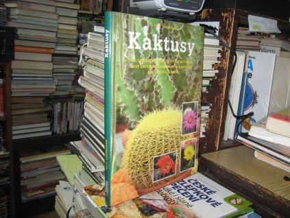 Kaktusy