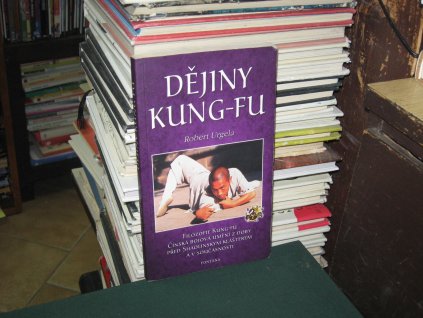 Dějiny kung-fu