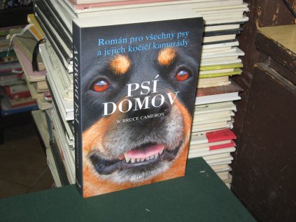 Psí domov