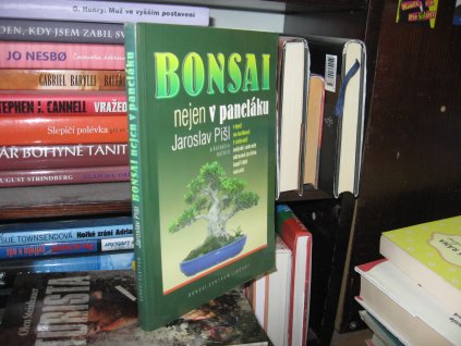 Bonsai nejen v paneláku