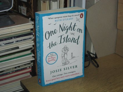 One Night on the Island