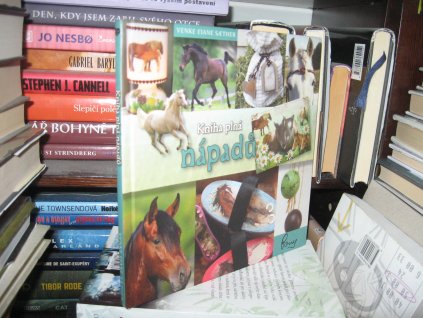 Kniha plná nápadů (koně)