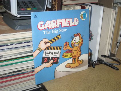 Garfield: The Big Star