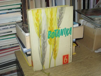 Botanika pro šestý ročník základních devítiletých škol