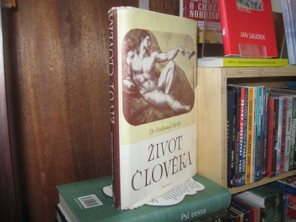Život člověka