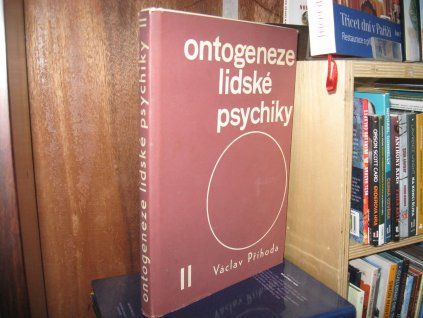 Ontogeneze lidské psychiky II.