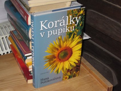 Korálky v pupíku