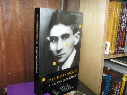 V Kafkově knihovně. In Kafkas Bibliothek