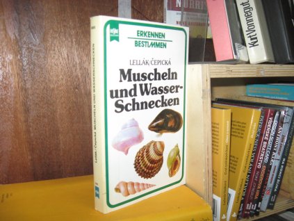 Muscheln und Wasserschnecken